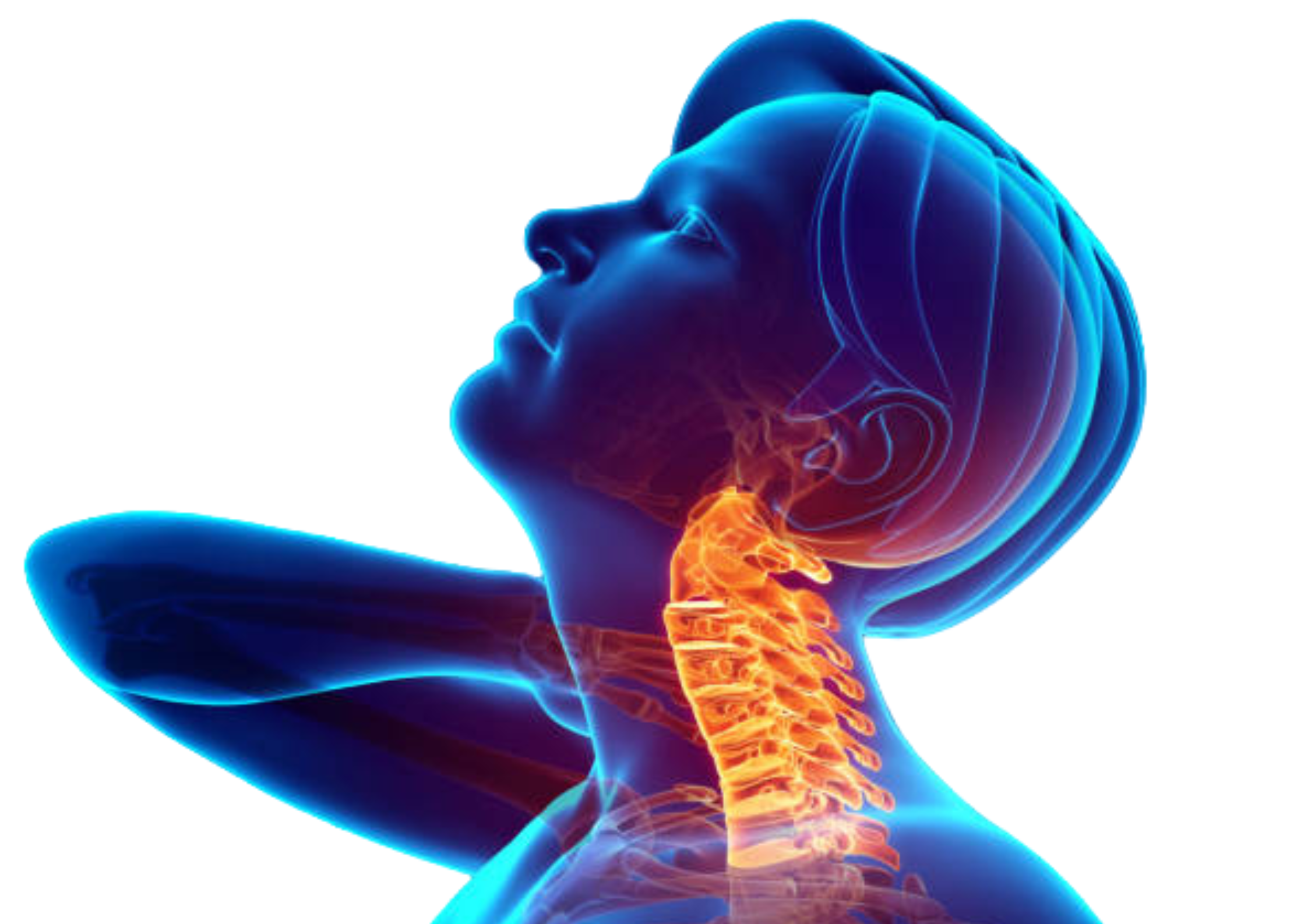 Espalda: cervicalgias, lumbalgias, ciáticas, hernias discales…