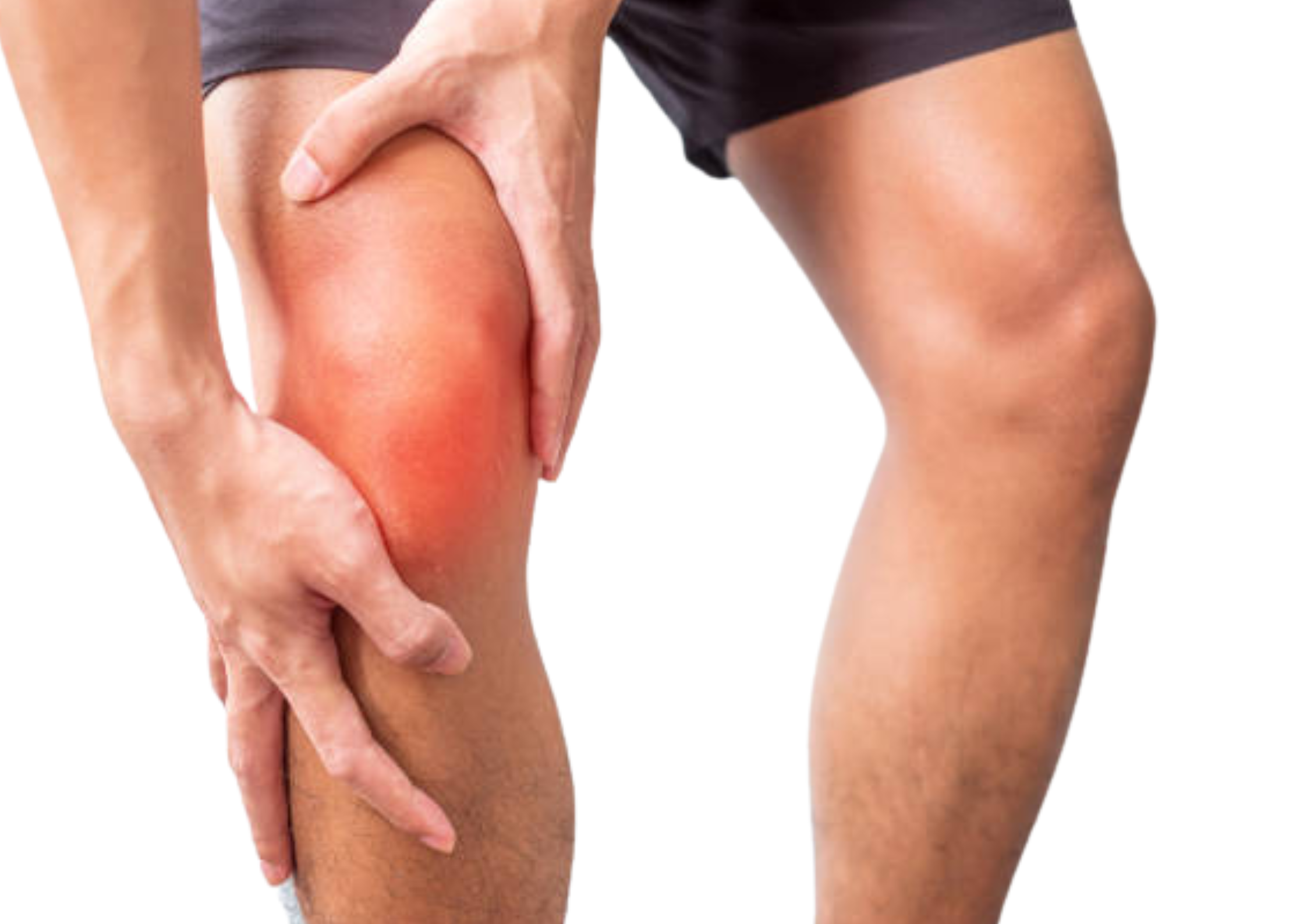 Rodilla: ligamento cruzado anterior, meniscos…